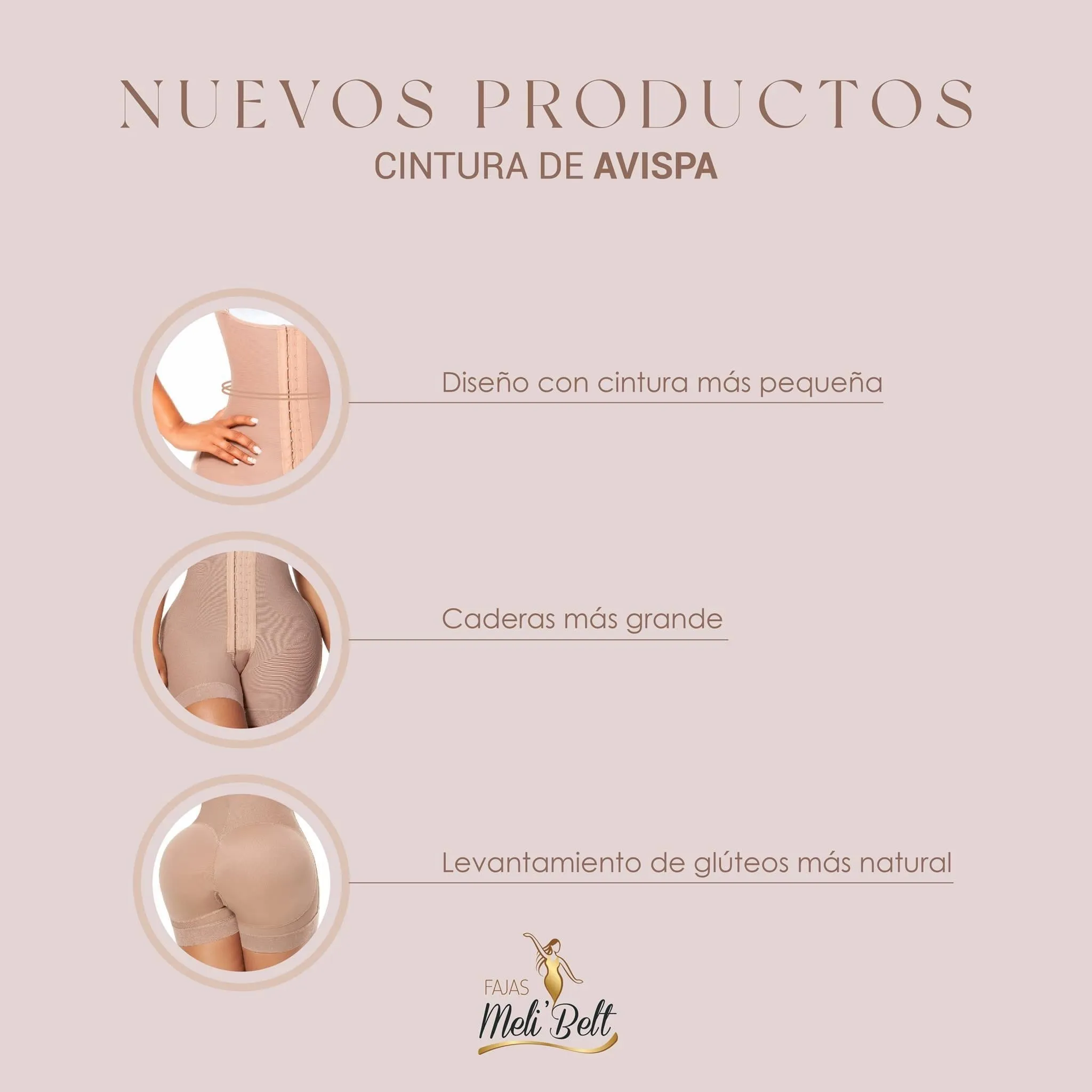 2027 Cintura de Avispa