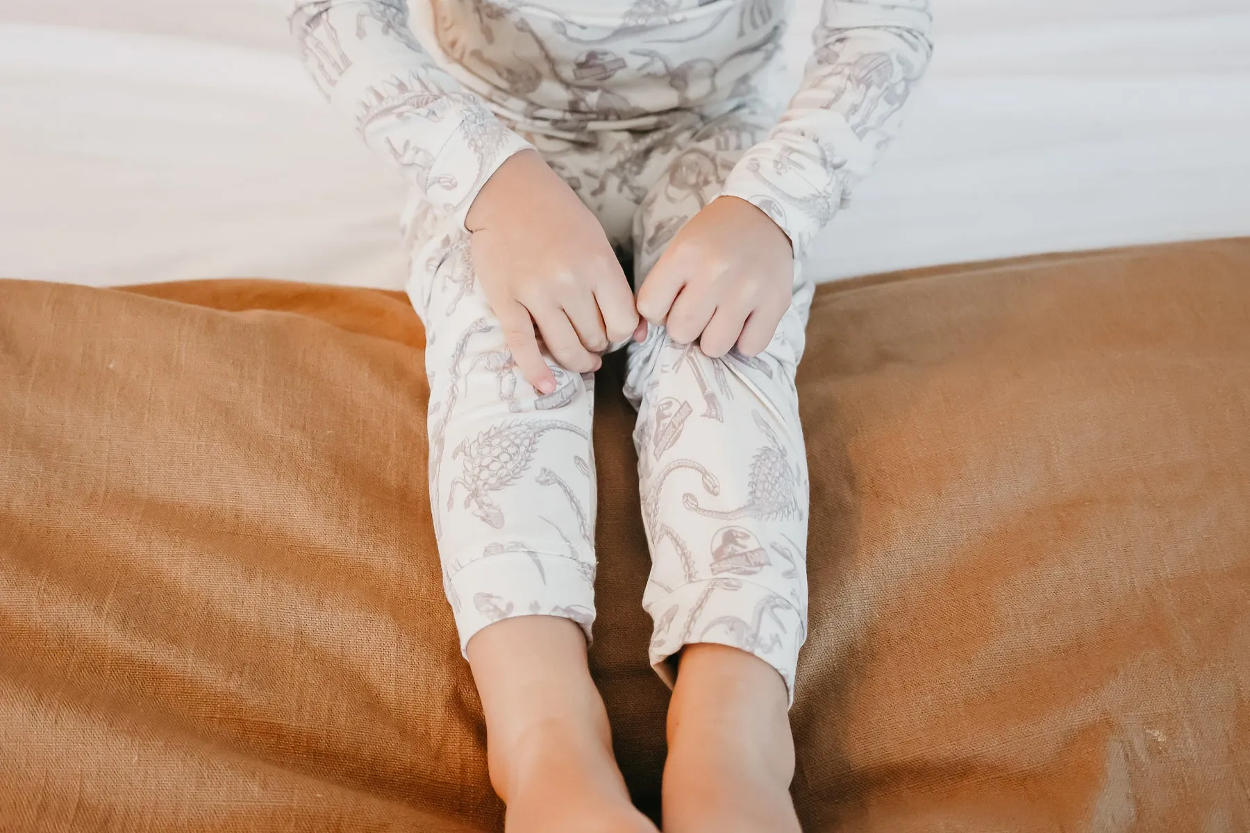2pc Long Sleeve Pajama Set - Jurassic Park Fossils