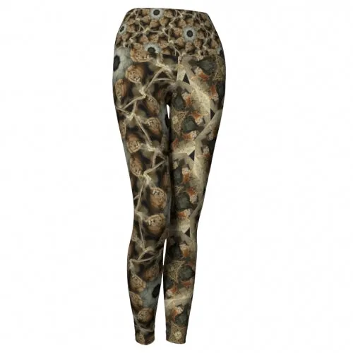 Cats - Zoo Yoga Leggings