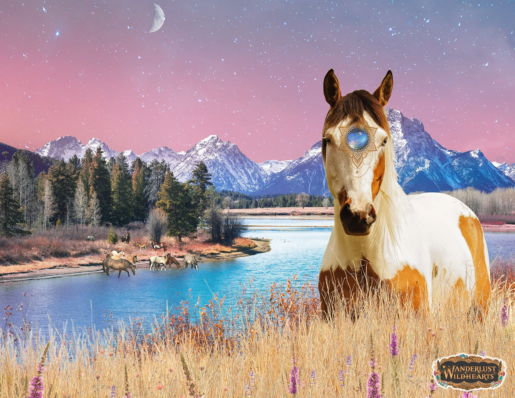 Horse Medicine Yoga Legging