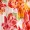 Multi Floral Printed Short Sleeve Mini Dress